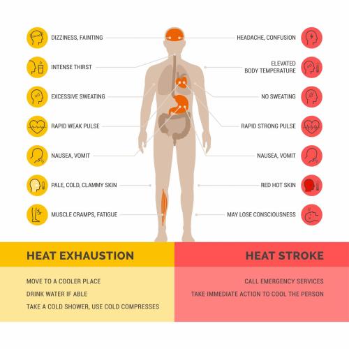 Infographic on heat exhaustion versus heat stroke