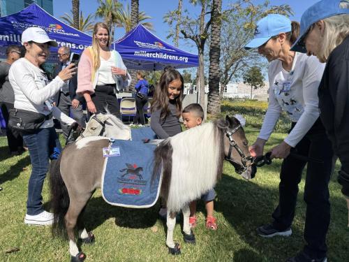 Liani Lina, 5, a patient at the Stramski Children’s Developmental Center, plays with Mini Therapy Horse, Valentia Blue, during the Autism Acceptance Day celebration at Miller Children’s & Women’s Hospital on April 2. 
